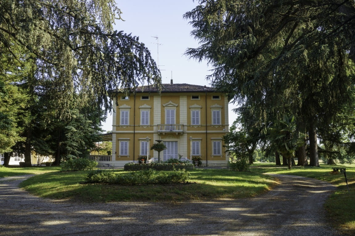 Trees front building (1)